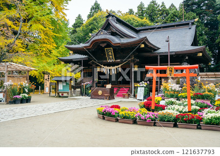Mito Hachiman Shrine Chrysanthemum Festival (Mito City, Ibaraki Prefecture) 121637793