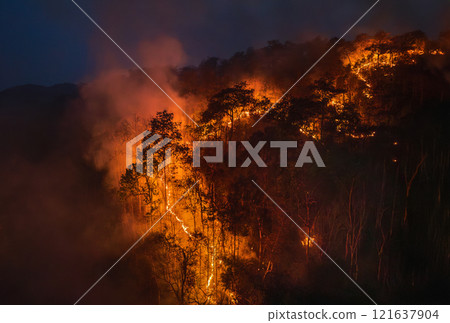 Bushfires in tropical forest release carbon dioxide (CO2) emissions and other greenhouse gases (GHG) that contribute to climate change. Bushfires in tropical forest release carbon dioxide (CO2) emissions and other greenhouse gases (GHG) that contribute to climate change. 121637904