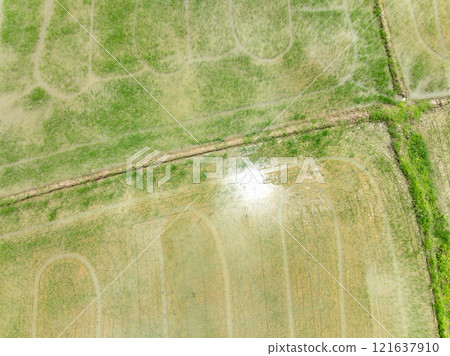 Methane emission from rice farming from traditional flooded-field. Methane emission from rice farming from traditional flooded-field. 121637910
