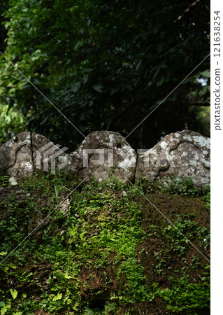 Ta Som, the ruins of Angkor, eroded by jungle Ta Som, the ruins of Angkor, eroded by jungle 121638254