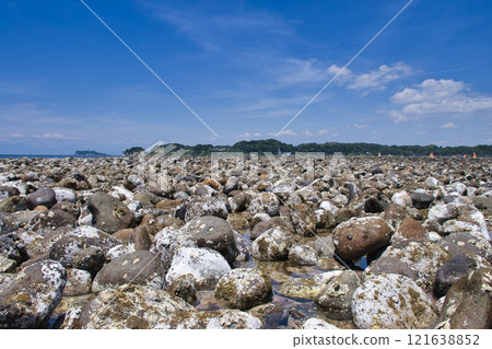 [Kamakura City] Wakaejima Island at low tide 121638852