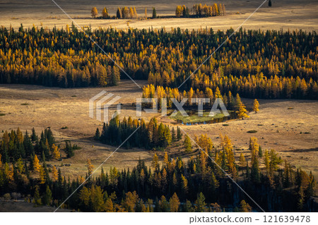 Vast autumnal landscape with forest and golden trees in scenic rural area Vast autumnal landscape with forest and golden trees in scenic rural area 121639478