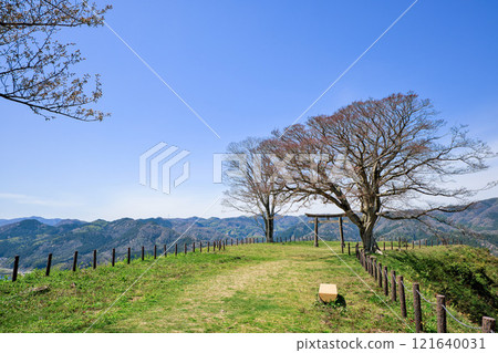 <島根縣>月山戶田城三之丸遺址鳥居 <島根縣>月山戶田城三之丸遺址鳥居 121640031