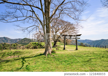 <Shimane Prefecture> Gassan Toda Castle, Torii gate at Sannomaru ruins 121640033