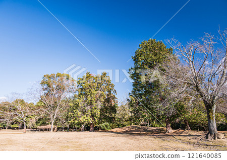 Tobihino Garden, Nara Park Tobihino Garden, Nara Park 121640085