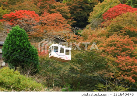 Yoshinoyama: Autumn leaves at Shimo Senbon and the ropeway 121640476