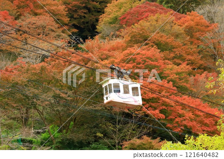 吉野山下千本秋葉和索道 121640482