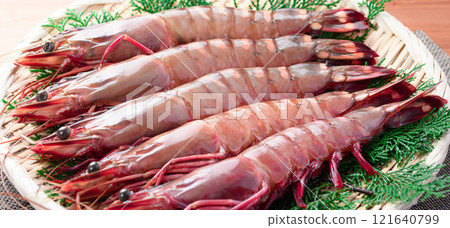 [One of the largest shrimp in the shrimp family] Sea tiger shrimp are characterized by their firm texture and flavor, and rich umami taste, which can only be achieved in the wild. 121640799