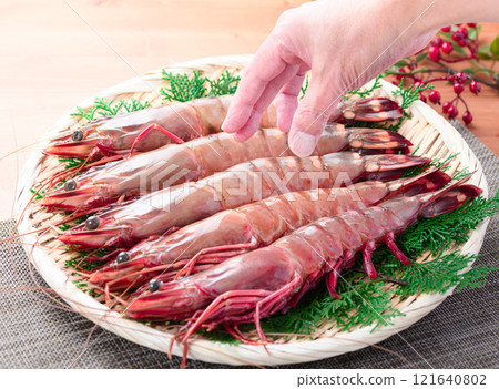 [One of the largest shrimp in the shrimp family] Sea tiger shrimp are characterized by their firm texture and flavor, and rich umami taste, which can only be achieved in the wild. 121640802