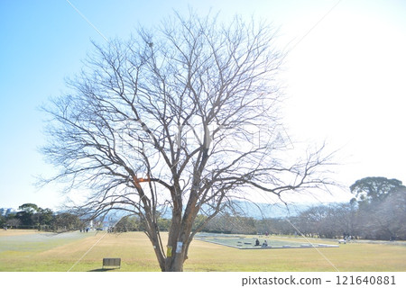 New Year's Day Fun at the Tofuro Ruins 121640881