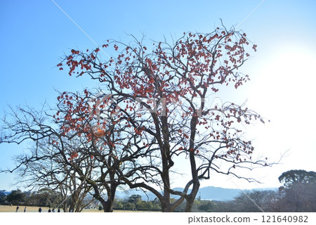 首都塔遺址，元旦天空晴朗 121640982