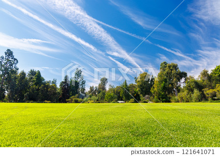 A vast green grass meadow stretching towards the horizon with a trees 121641071