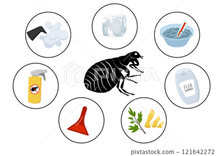 How to get rid of fleas, infographic with effective remedies against insect How to get rid of fleas, infographic with effective remedies against insect 121642272