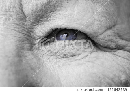 Elderly pensioner female eye closeup Elderly pensioner female eye closeup 121642789