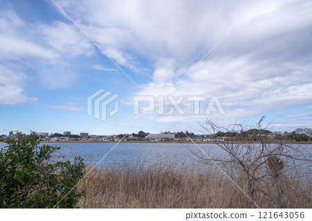 Lake Teganuma in early spring Lake Teganuma in early spring 121643056
