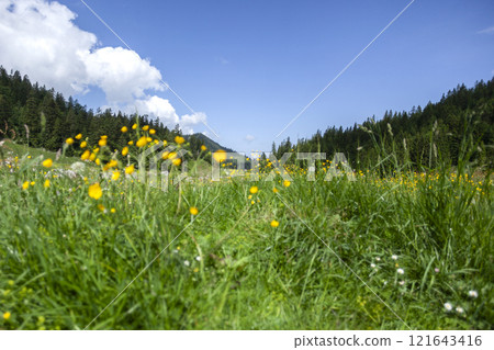 Mountain hiking at Brecherspitze mountain, Bavaria, Germany in summertime 121643416