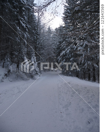 Mountain hiking at Brecherspitze mountain, Bavaria, Germany in wintertime Mountain hiking at Brecherspitze mountain, Bavaria, Germany in wintertime 121643569