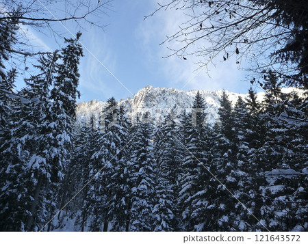 Mountain hiking at Brecherspitze mountain, Bavaria, Germany in wintertime Mountain hiking at Brecherspitze mountain, Bavaria, Germany in wintertime 121643572