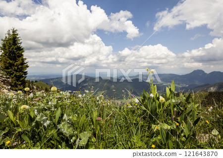 Mountain hiking at Brecherspitze mountain, Bavaria, Germany in summertime Mountain hiking at Brecherspitze mountain, Bavaria, Germany in summertime 121643870