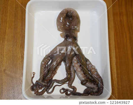Octopus fishing Octopus fishing 121643927