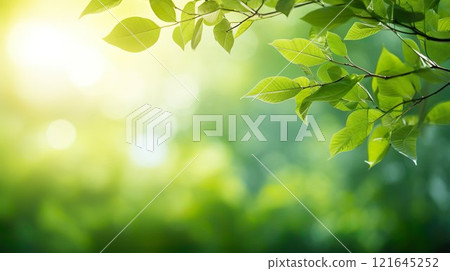 Beautiful seasonal background material with fresh green leaves 01 121645252