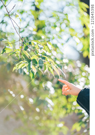 一個女人的手指著一片葉子 一個女人的手指著一片葉子 121645398