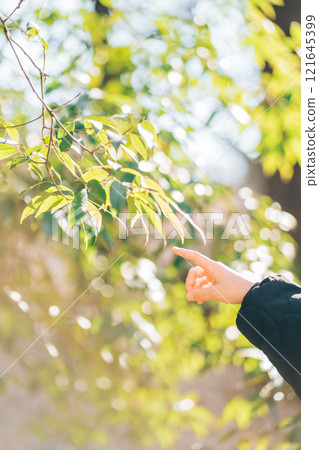 Woman's hand pointing at a leaf 121645399