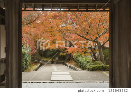 Beautiful autumn foliage seen from the main hall of Saisho-in Kotoku-an temple 4 Beautiful autumn foliage seen from the main hall of Saisho-in Kotoku-an temple 4 121645582