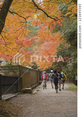 Enjoy a trail run while admiring the autumn leaves 1 121645593