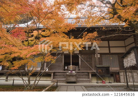 最勝院高德庵本堂和美麗的紅葉2 最勝院高德庵本堂和美麗的紅葉2 121645616