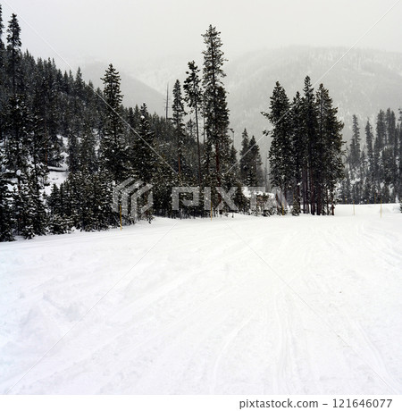 Yellowstone Winter Snow Yellowstone Winter Snow 121646077