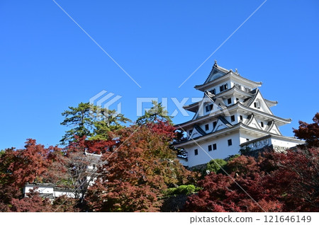 秋葉和郡上八幡城 秋葉和郡上八幡城 121646149