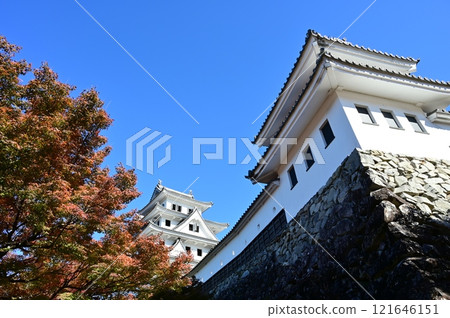 秋葉和郡上八幡城 秋葉和郡上八幡城 121646151