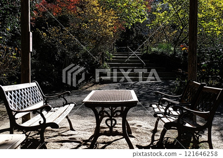 鎌倉明月院的古典長椅 121646258