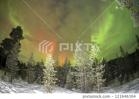 Northern Lights in Lapland Inari Nelli Lakes forest 121646304