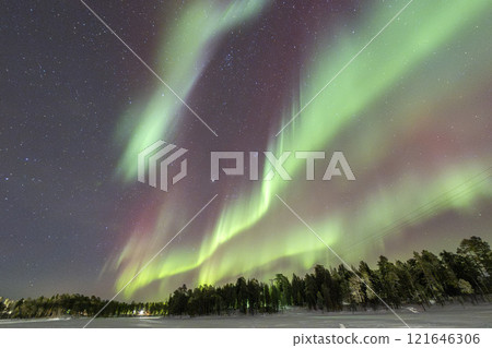 Northern Lights in Lapland Inari Nelli Lakes forest Northern Lights in Lapland Inari Nelli Lakes forest 121646306