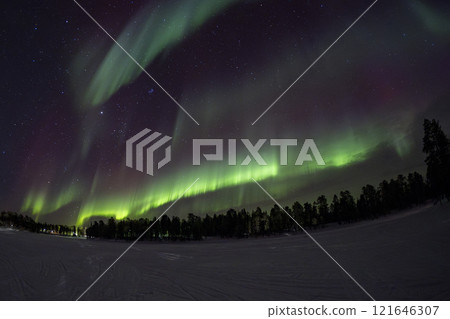 Northern Lights in Lapland Inari Nelli Lakes forest Northern Lights in Lapland Inari Nelli Lakes forest 121646307