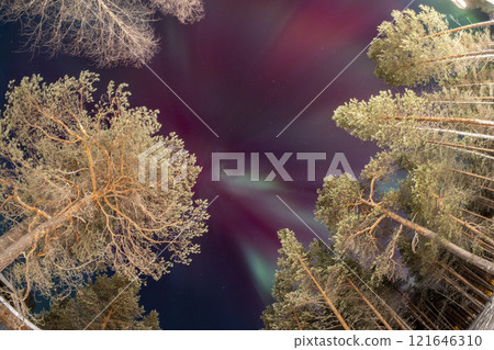 Northern Lights in Lapland Inari Nelli Lakes forest 121646310