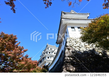 Gujo Hachiman Castle's Sakuranomaru Corner Tower and castle tower - Autumn foliage Gujo Hachiman Castle's Sakuranomaru Corner Tower and castle tower - Autumn foliage 121646355