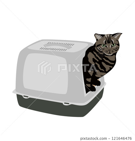 Big striped cat using the closed cat litter box. Vector illustration isolated on white. 121646476