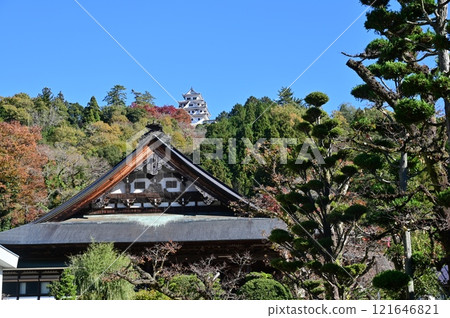 城下町和郡上八幡城的寺廟和神社 城下町和郡上八幡城的寺廟和神社 121646821
