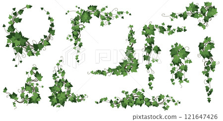 Plant wall. Green liana. Ivy vegetation border. Grass interior. Leafy outdoor shrub. Growing design. Ornate floral jungle. Botanical corner. Creeper with leaves. Vector decorative foliage frames set 121647426