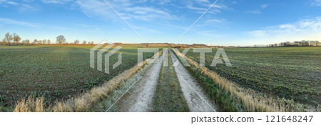Farmland in North Yorkshire - northeast England 121648247
