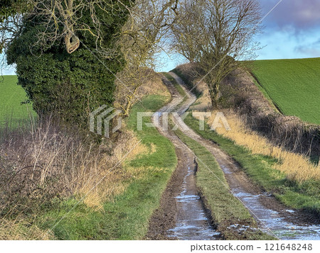 Farm track in North Yorkshire - northeast England 121648248