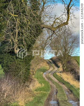 Farm track in North Yorkshire - northeast England Farm track in North Yorkshire - northeast England 121648249