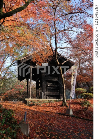 Autumn leaves at Akizuki and Kuromon Gate in Asakura City, Fukuoka Prefecture 121648267