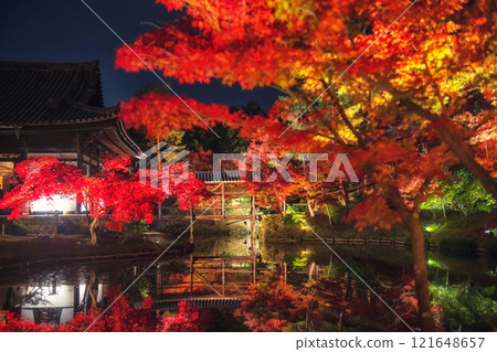 Kodaiji temple autumn garden light up with reflection, Kyoto 121648657