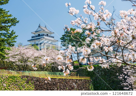 Shimabara castle with white sakura blossom, Nagasaki 121648672