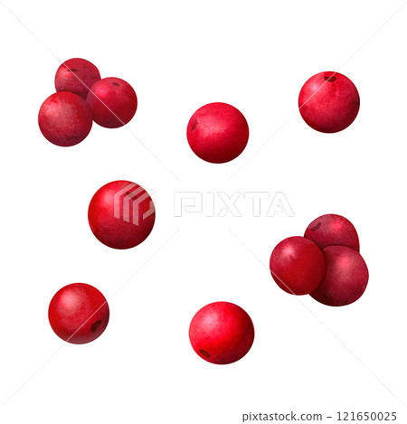 Christmas Holly Berries Design: A hand-painted watercolor illustration great for creating holiday branding, festive menus, and decorative packaging, New Year greeting cards, and festive Christmas Holly Berries Design: A hand-painted watercolor illustration great for creating holiday branding, festive menus, and decorative packaging, New Year greeting cards, and festive 121650025