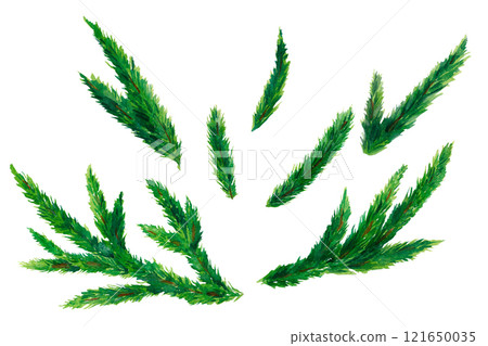 Winter Spruce Branch Art set. A finely detailed watercolor illustration of a spruce branch, great for holiday-themed advertising, Christmas cards, or printable templates. Winter Spruce Branch Art set. A finely detailed watercolor illustration of a spruce branch, great for holiday-themed advertising, Christmas cards, or printable templates. 121650035